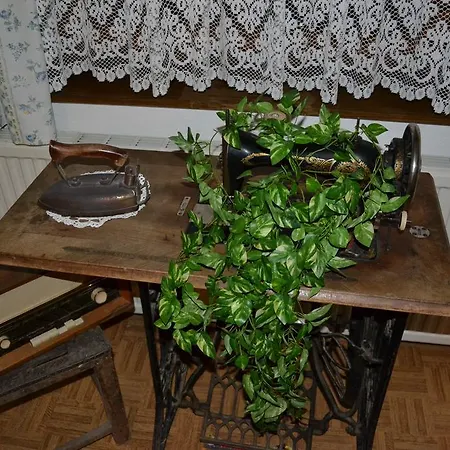 Casa de hóspedes Zum Platzer